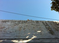 /album/bildgalleri/bild-058-jpg/